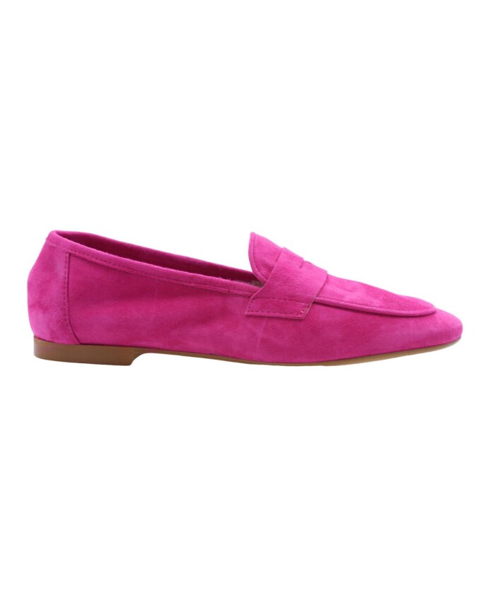 argos-mocassin