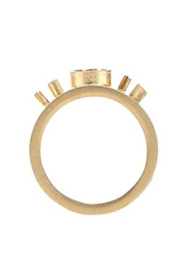 elegant-gold-925-silver-ring