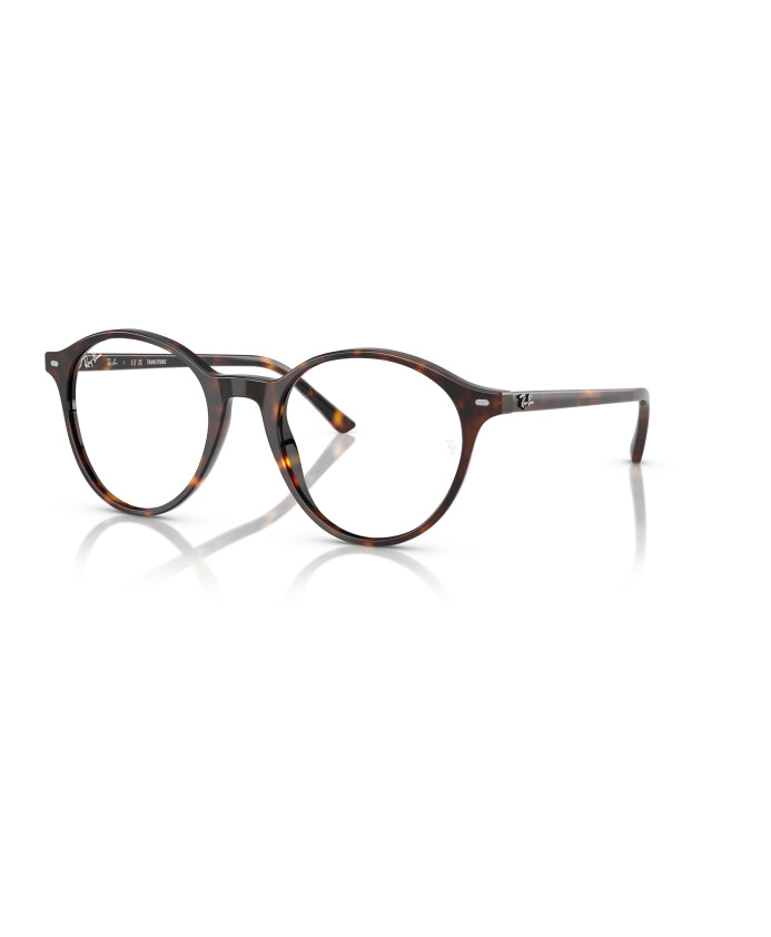 photocromatic-sunglasses-bernard-rb-2230