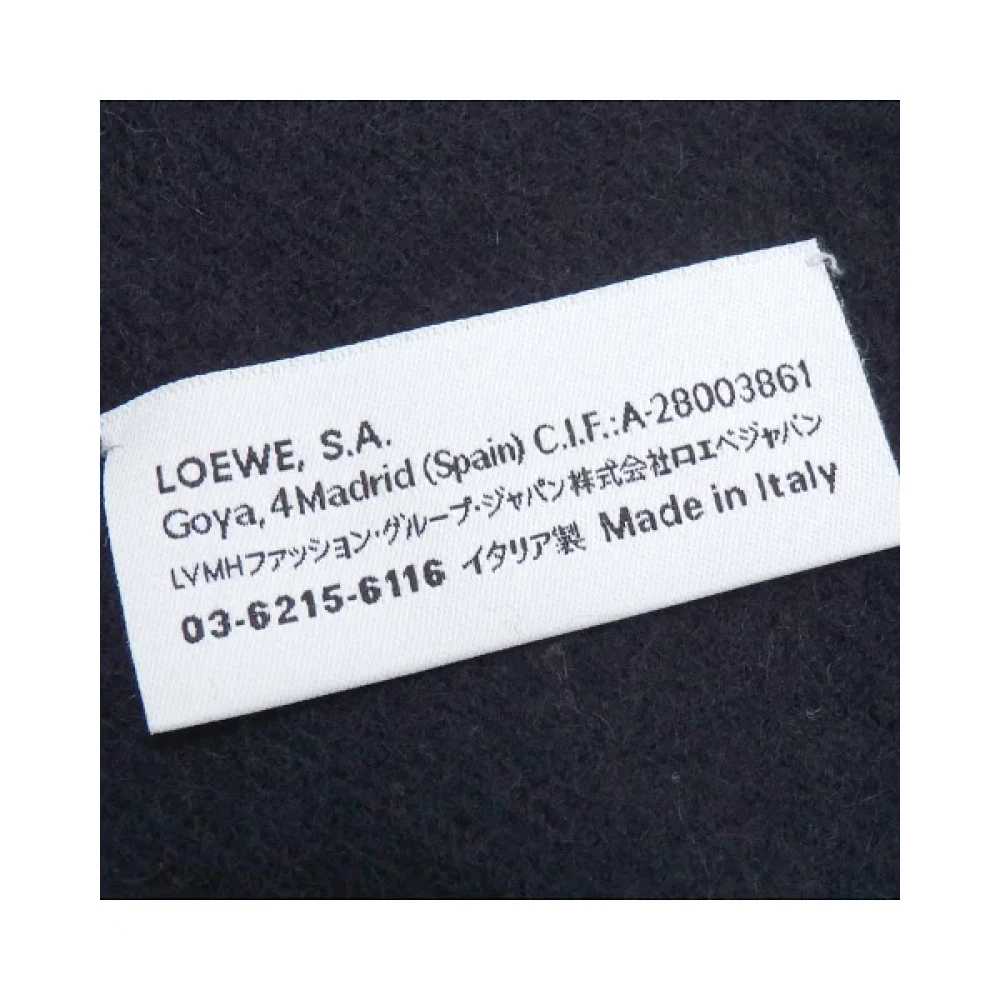 Loewe Pre-owned Cashmere scarves Blue Dames
