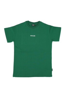 tee-shirt-homme-vert-avec-imprime-serpent