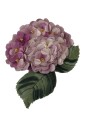 broche-en-laiton-dore-avec-fleurs-violettes