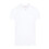 white-polo-t-shirt