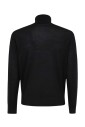 pull-elegant-a-col-roule