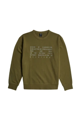 Grafiska Sweatshirts och Hoodies