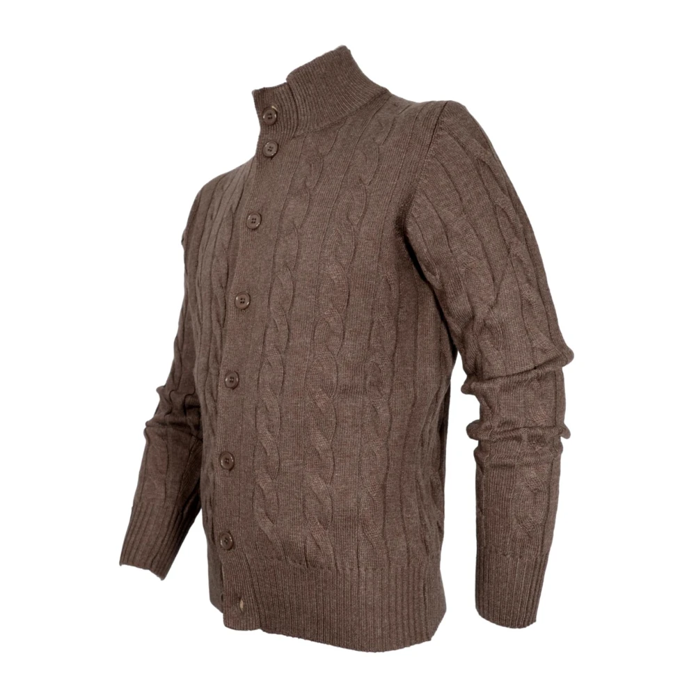 Cashmere Company Bruine Cashmere en Wol Vest Brown Heren