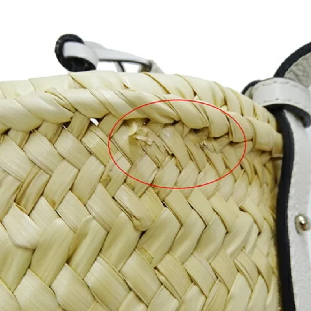 Loewe Pre-owned Fabric shoulder-bags White Dames