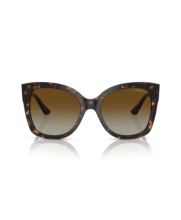 trendy-polarized-sunglasses-with-havana-frame