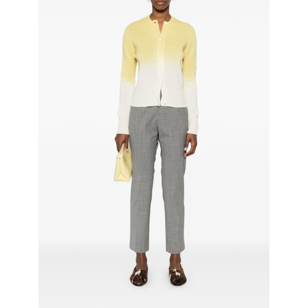 Fabiana Filippi Grijze Broek met Diamantdetail Gray Dames