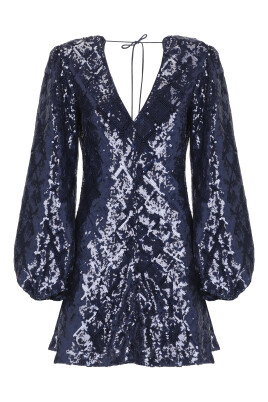 sequin-v-neck-long-sleeve-dress
