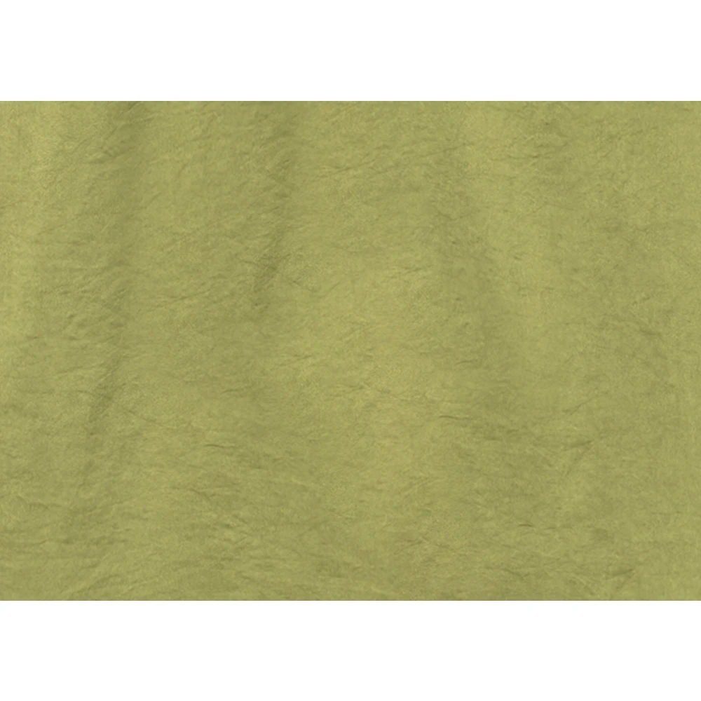 LUISA CERANO Wideleg Broek met Plooien Green Dames