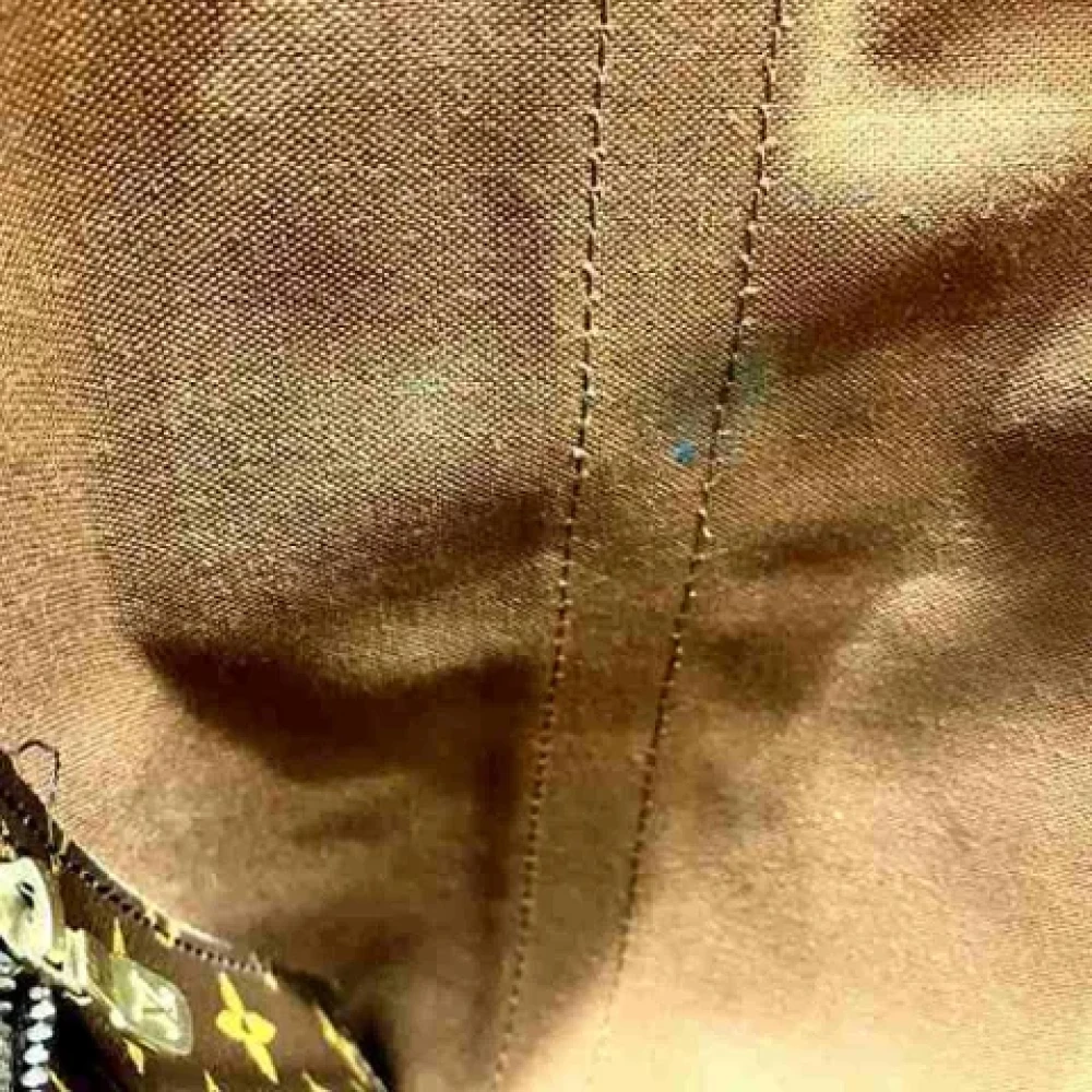 Louis Vuitton Vintage Pre-owned Canvas backpacks Brown Dames