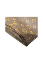 pre-owned-canvas-louis-vuitton-bags