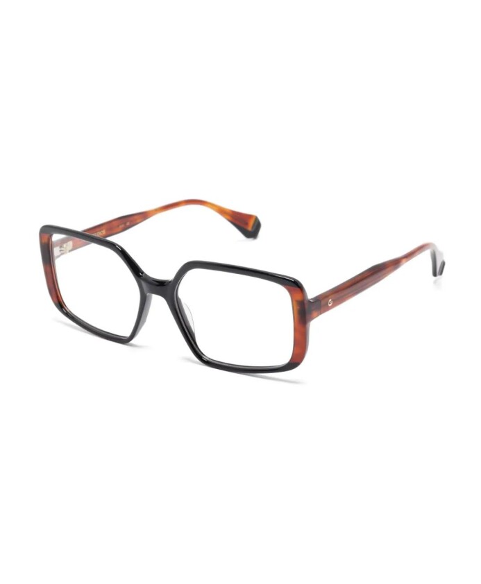 gs1010-01o-optical-frame
