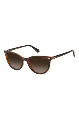 Cat-eye solglasogon