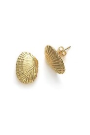 191-30-25 Large Shell Earrings