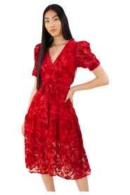 Kimbra Solid Velvet Burnout Dress