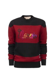 sweater with embroidered logo