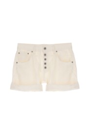 5B  Linen Shorts