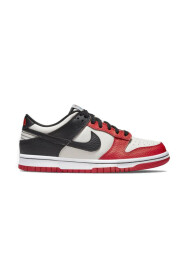 Dunk Low EMB NBA 75th Anniversary Chicago Sneakers